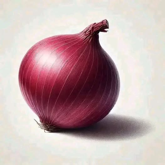 ENFERMEDADES QUE PUEDES TRATAR CON CEBOLLAS 35
