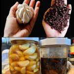 🧄🍯 Clavo y Miel con Ajo: Remedio Natural para la Salud