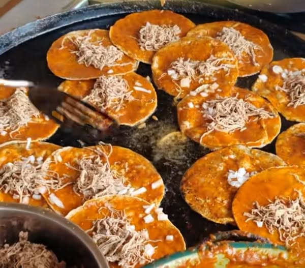 Garnachas Veracruzanas