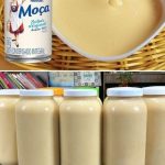 Leche Condensada Casera