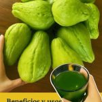 Beneficios y usos del jugo de chayote: un impulso refrescante para tu salud