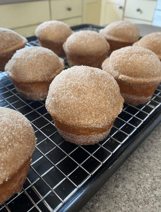 Snickerdoodle Muffins Recipe