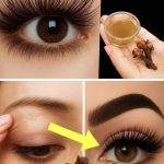 Cejas y Pestañas Más Gruesas y Largas en 7 Días – Con Clavo de Olor