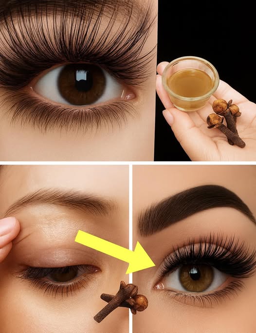 Cejas y Pestañas Más Gruesas y Largas en 7 Días – Con Clavo de Olor