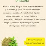 El Poder Oculto del Orégano: ¡La Hierba Milagrosa que Transformará tu Salud