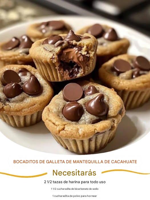 Peanut Butter Chocolate Chip Bites