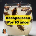 Insecticida Casero Poderoso
