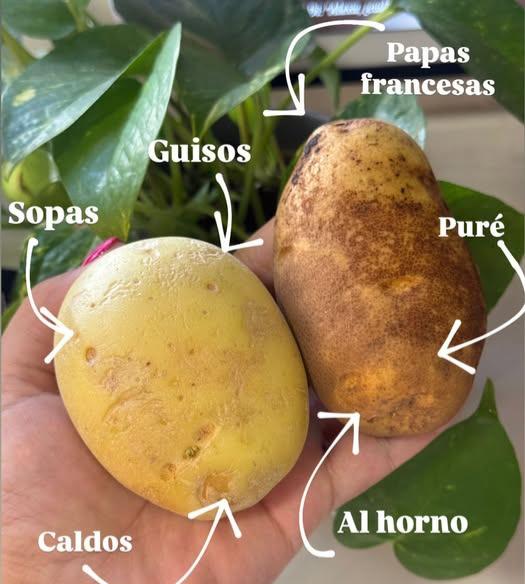 ¿Cuál papa te hará un puré espectacular? Descubre la diferencia entre Idaho y blanca