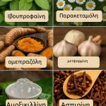 Ανακαλύπτοντας τη Δύναμη των Φυτών και των Φυσικών Θεραπειών 🌱✨