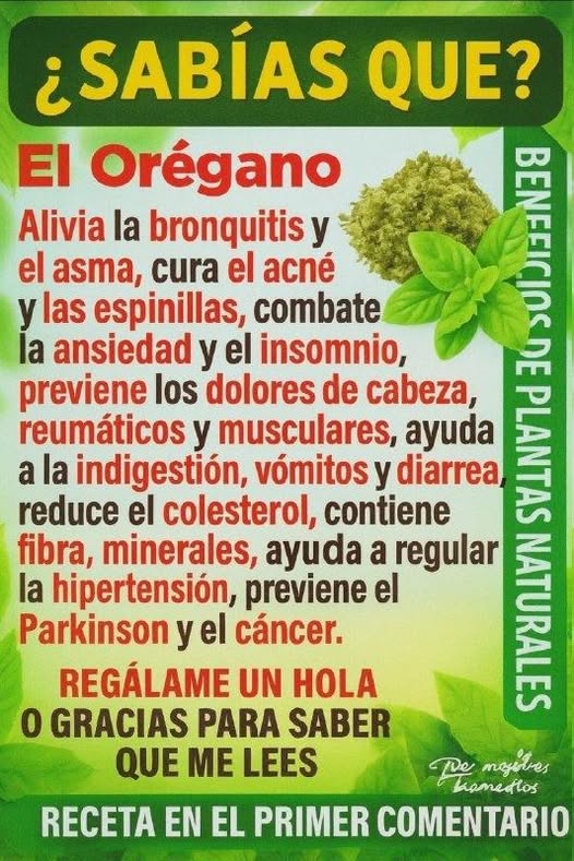 Té de Orégano en Ayunas: Limpia tu Cuerpo y Fortalece tu Salud