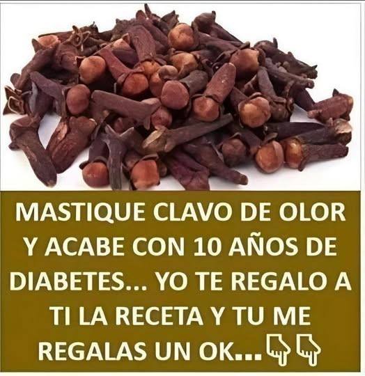 EMPIEZA A MASTICAR CLAVOS DE OLOR – ME LO DIJO EL MÉDICO