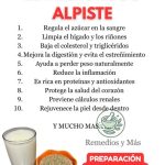 Leche de Alpiste: Beneficios, Preparación y Usos