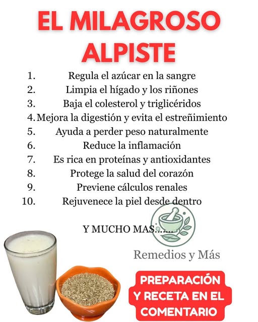 Leche de Alpiste: Beneficios, Preparación y Usos