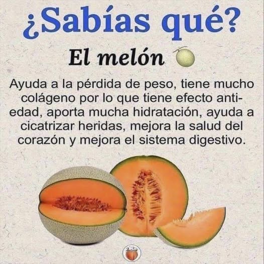 Beneficios del Melón