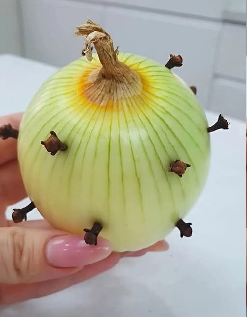 ¿Por qué mi abuela francesa siempre pone clavos de olor en sus cebollas?