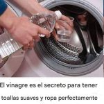 Cómo Limpiar la Lavadora a Fondo con Vinagre Blanco
