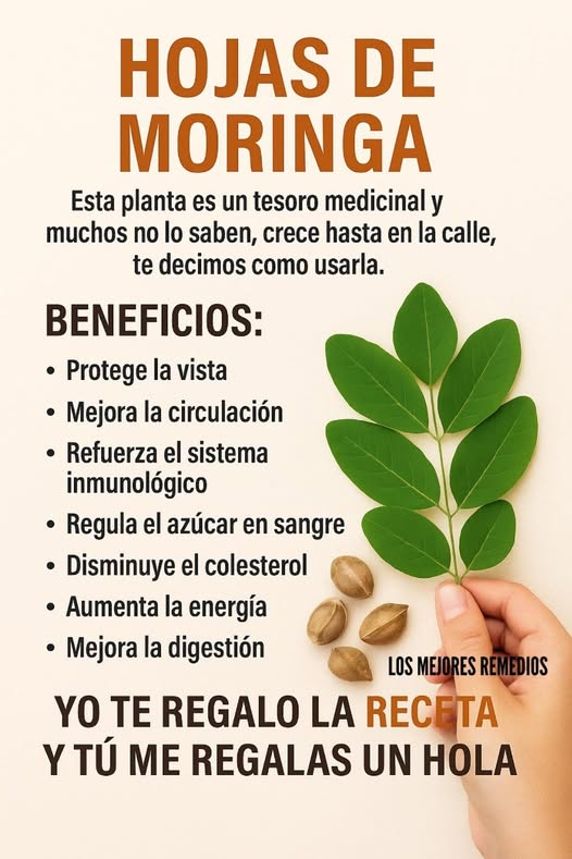 Moringa para la Vista y la Salud General